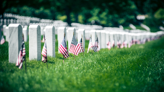 A Memorial Day Guide to Gratitude for Life | scitexas.edu