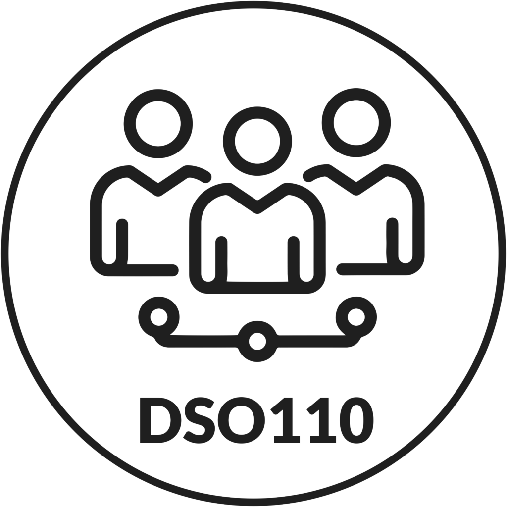 DSO110-Group-Project